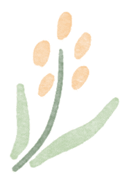 [南方生姜网-图片加载]