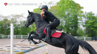 09从长江入海口溯江而上,这些地方简直太治愈啦!