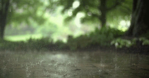 中到大雨+局地暴雨！5月8日-9日，雄安将有降雨天气