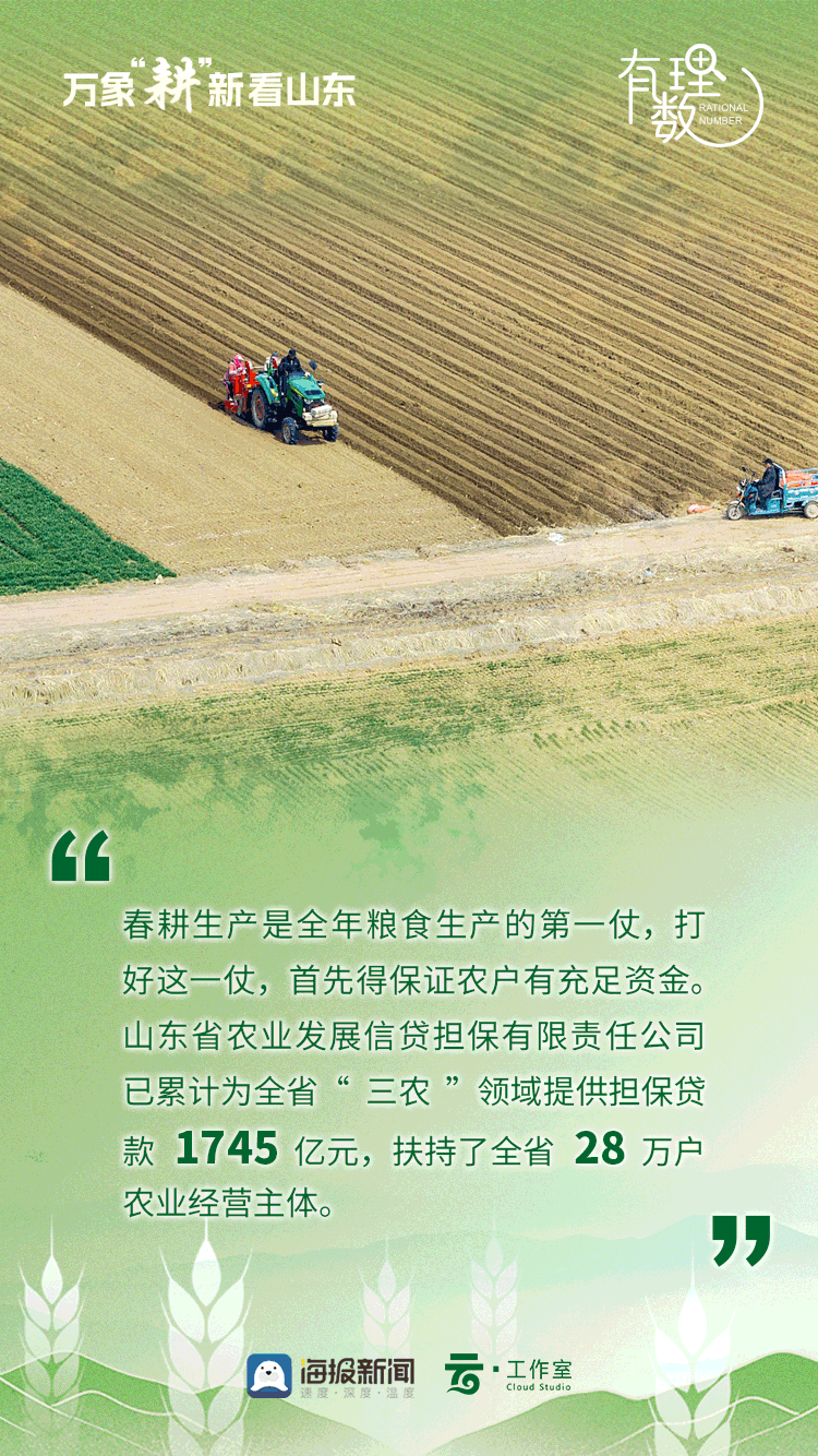 有理数丨动态海报万象耕新看山东