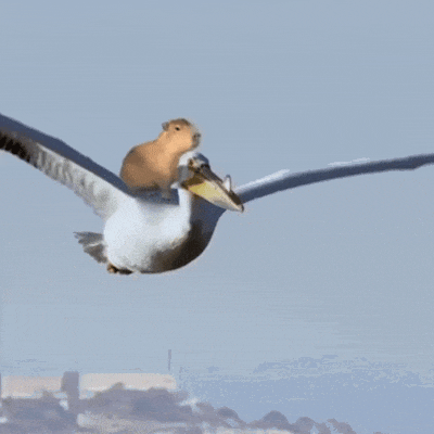 与此同时,人们还以卡皮巴拉为圆心,集齐了一个表情包宇宙:这边,一只卡