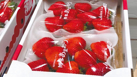 台当局将让农药超支的日本草莓就地合法？岛内草莓农批“拍日本人马屁”