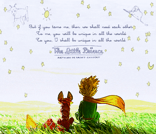 《小王子》来到樟宜机场啦!打卡b612星球,玫瑰园,还有独家联名好物