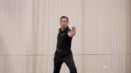 上架推掌1)踮步直刺预备式刚刚我们一起沉浸在了完整版动作教学视频中