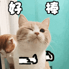 嗯.应该是没有对这件事我们的评价是还是用这张表情包替代