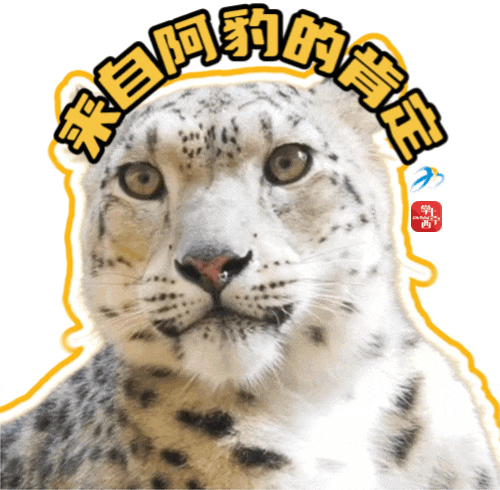 赶快收藏!西宁"顶流团宠"雪豹表情包来啦