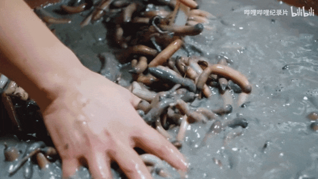 福建人不宣传这个,你糊涂啊!