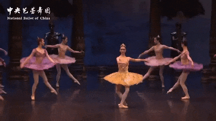 海鸥怎么呼吸大戏看北京10月21-27日文艺资讯丨莫里康内音乐会回溯经典_https://www.jmylbn.com_新闻资讯_第65张