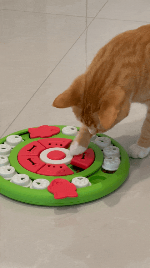 海水鼻腔喷雾器怎么用我们最近又买了 5 个好用的「新玩意」_https://www.jmylbn.com_新闻资讯_第9张