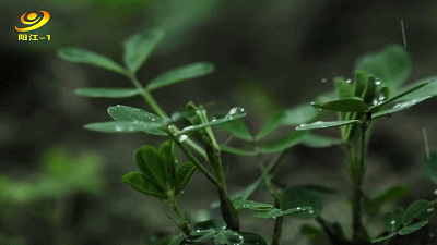 星星乐园丨春暖花开 "植"得期待_腾讯新闻