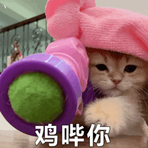 每天第三条更新6个表情包哦