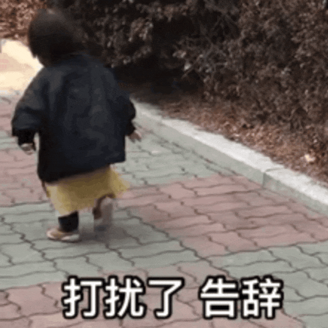 640_640gif 动态图 动图