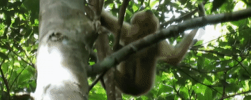 大只500注册|大只500官方app下载-樱花动漫-专注动漫的门户网站实时更新[下拉式]全本漫画