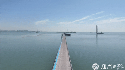 厦金大桥(厦门段)……重要节点!