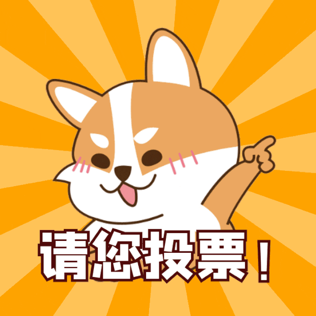 这一次,由你投票!