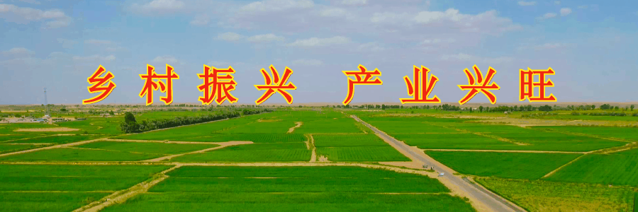 民勤:餐桌"新宠"鲜上市  铺就乡村致富路