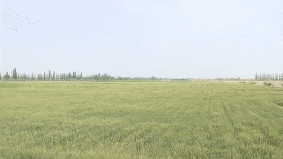 【乡村振兴进行时】麦盖提县24.