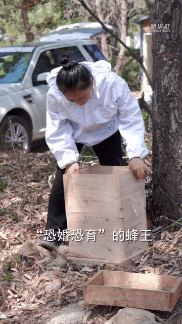 秀我中国春天养蜂人居然在练分身大法