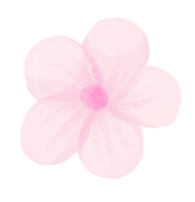 1e9bd0cf7b67b9e95dc6fdf04971741c.gif