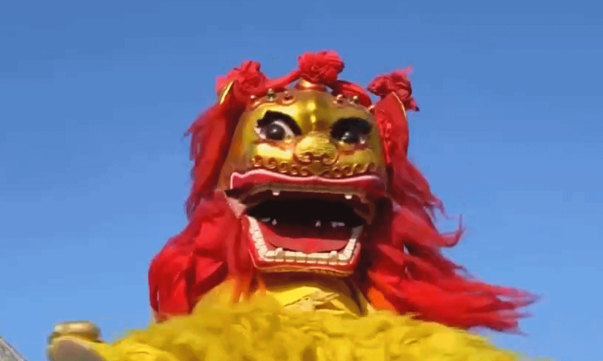 文化中国行丨四“狮”如何踩球过跷跷板？来“北狮之宗”看狮舞绝活_腾讯新闻