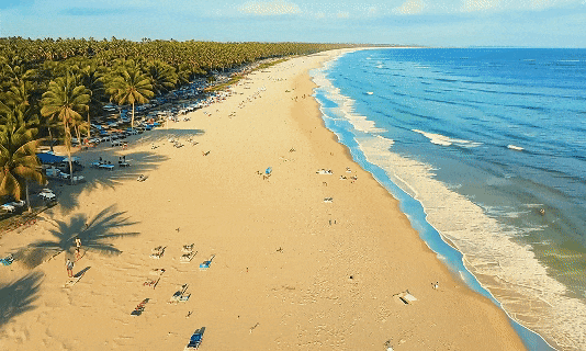阳光热烈地洒在大地上,金色的沙滩成为人们欢乐的海洋.海浪不