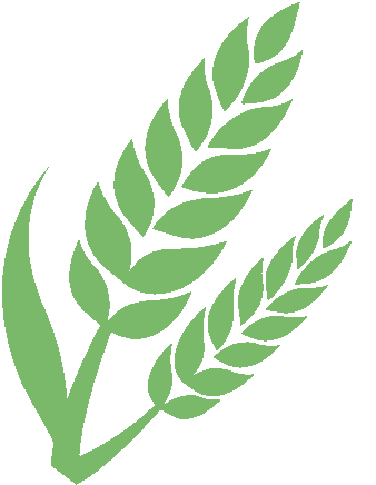 免费报名！参与即送礼品！南宁这场跳绳比赛又来了