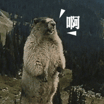 让"土拨鼠尖叫"留在"表情包"里吧