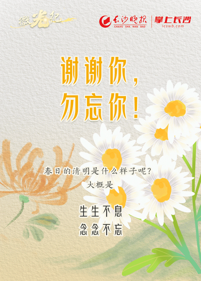 微光长卷谢谢你勿忘你