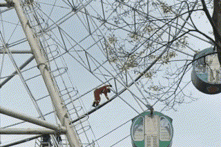 游客玩蹦极被困在半空._腾讯新闻