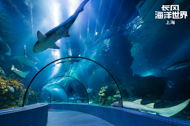 上海市博物馆美术馆通票品质版超值揭秘!60家场馆带你深度"看上海"