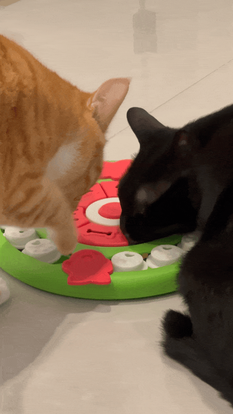 海水鼻腔喷雾器怎么用我们最近又买了 5 个好用的「新玩意」_https://www.jmylbn.com_新闻资讯_第10张