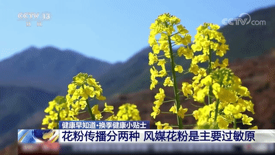 2024年第一波花粉预警出现这些症状要警惕