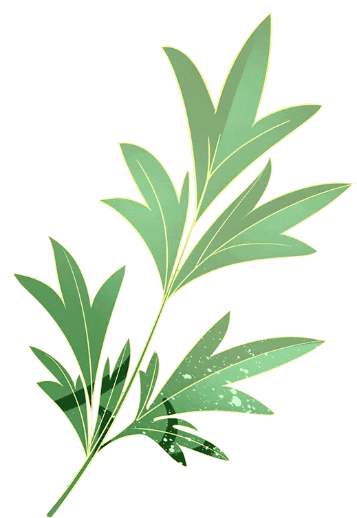 【清明·看大理】贡菜传奇