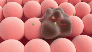 我们会变老,竟然是因为封印在我们体内的远古病毒复活了?|刘光慧