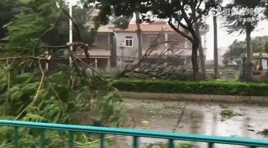533_295gif 动态图 动图
