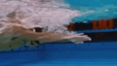 379_215gif 动态图 动图