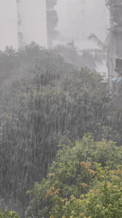 打雷!暴雨!厦门刚刚预警
