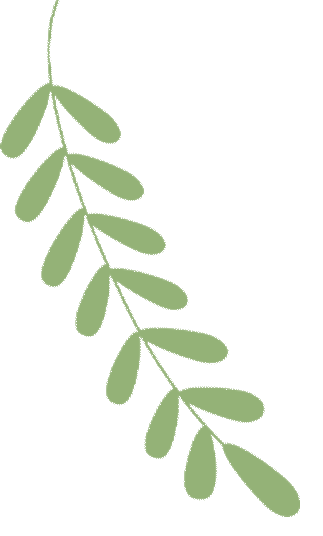 六一书单 | 儿童节宝藏好书推荐!