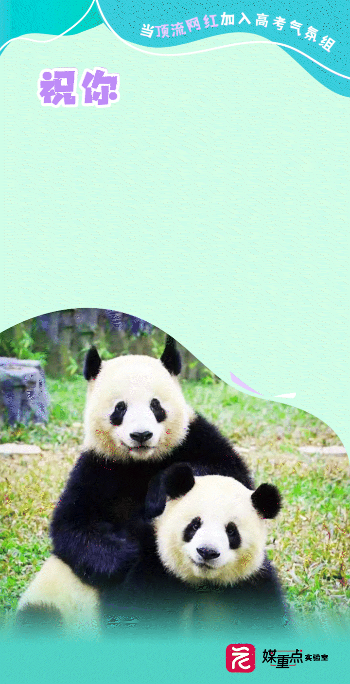 保护熊猫英语海报素材图片