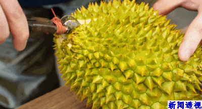 商家:建议全款拿下!