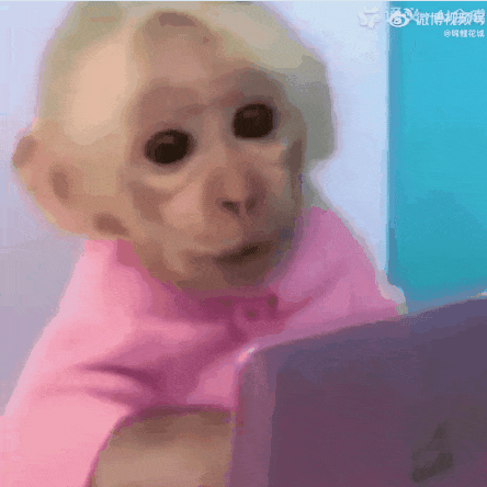 吗喽表情包动起来后,我欢乐谷效应犯了