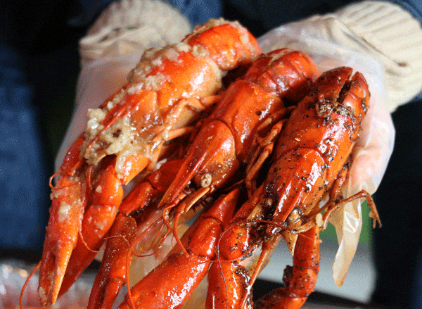 杭州产的蓝龙虾大量上市吃货别错过