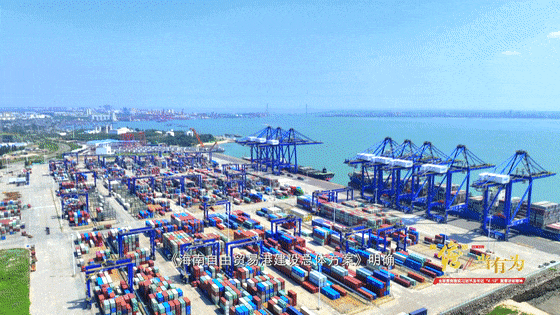 儋州洋浦通过航运大厦载体,汇聚各个相关的要素,实现了上下楼就是上下