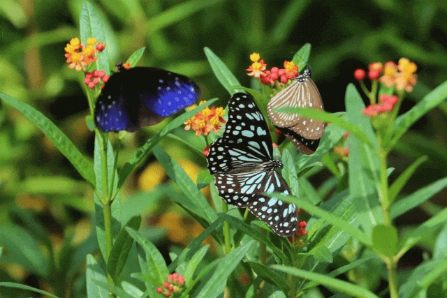春游丽水:遂昌"五一"超燃活动让人"眼花缭乱",快跨越山河奔赴吧