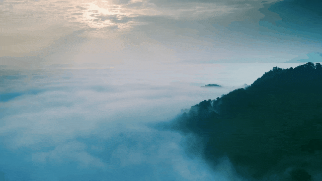 【普洱文旅】景迈山春茶开采！以茶之名，赴春日之约