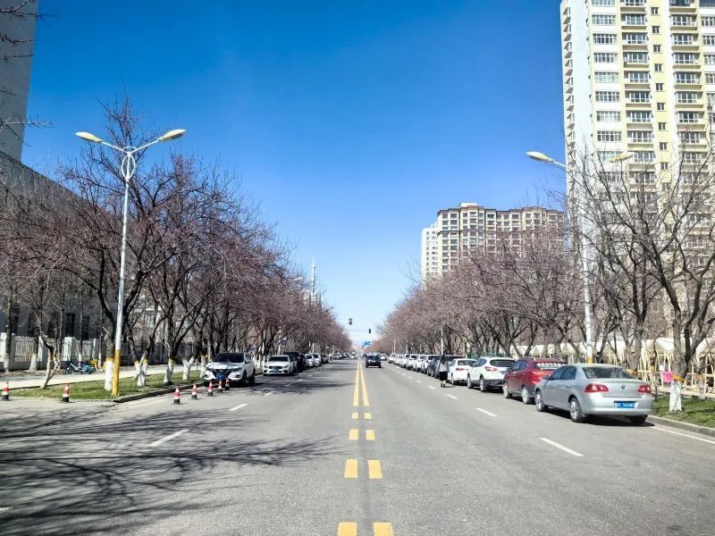 伊宁·花语 | 春风催花开 伊宁又到赏花时