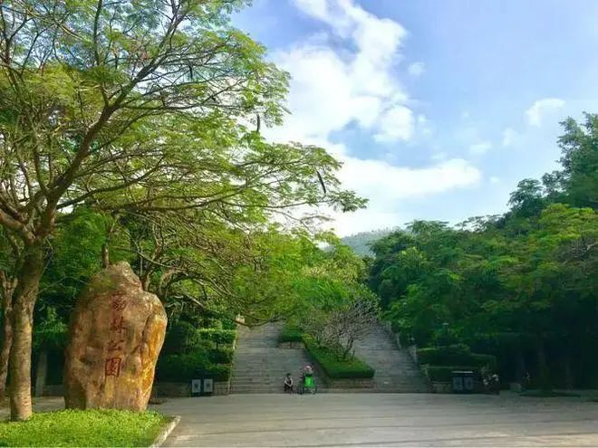 荔林公园有登山道直接到南山公园,是散步的好地方.