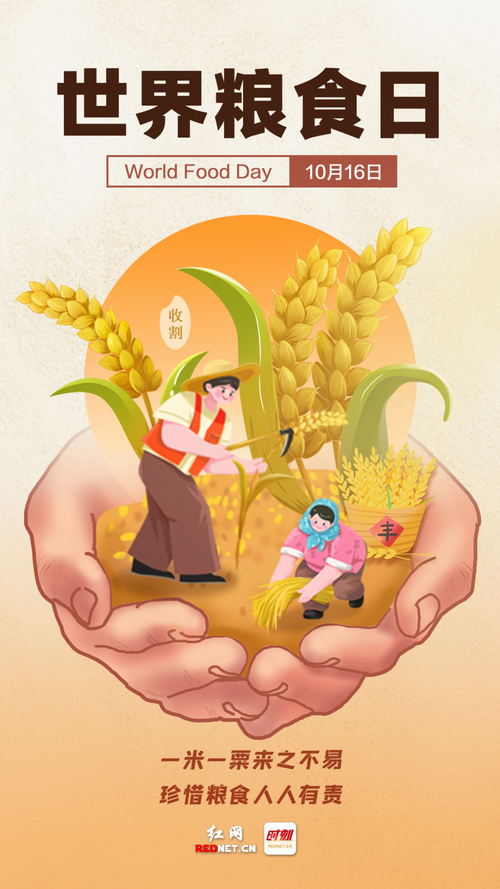 让我们一起守护粒粒粮食,感受农民种植稻谷的艰辛旅程,珍惜大自然的