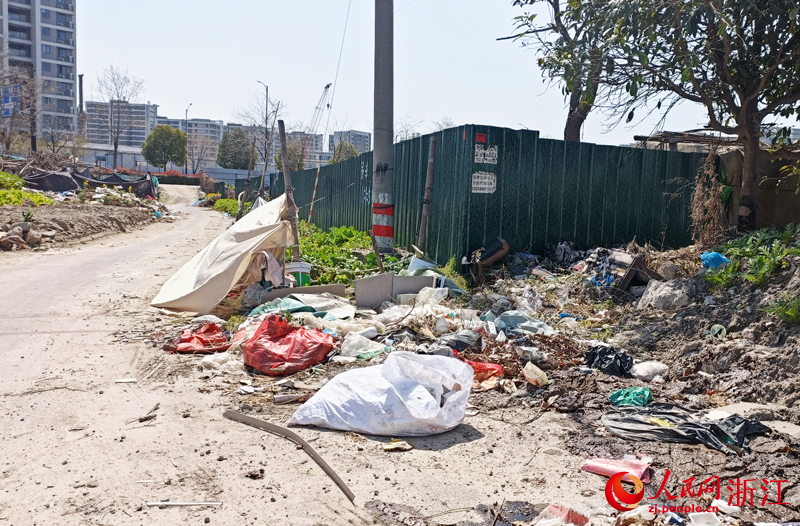 杭州乔司人大代表联络站架起群众办事通道