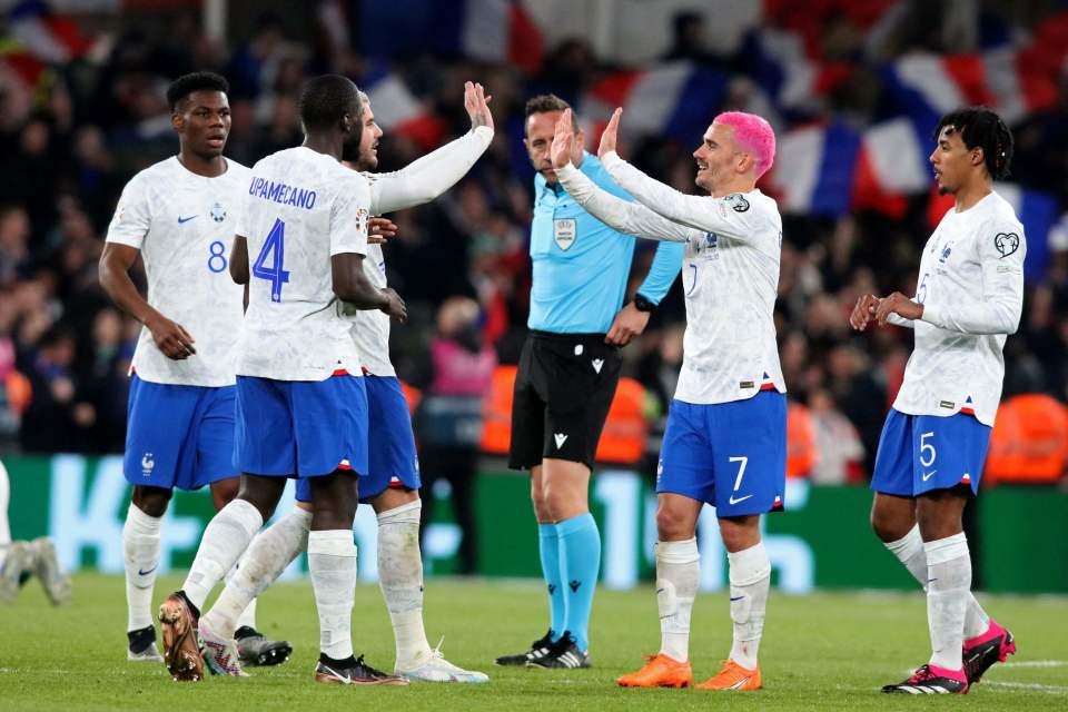 欧洲杯预选赛法国队图片